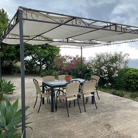Casa Vacanze Piedigrotta Villa Pizzo  Exterior photo