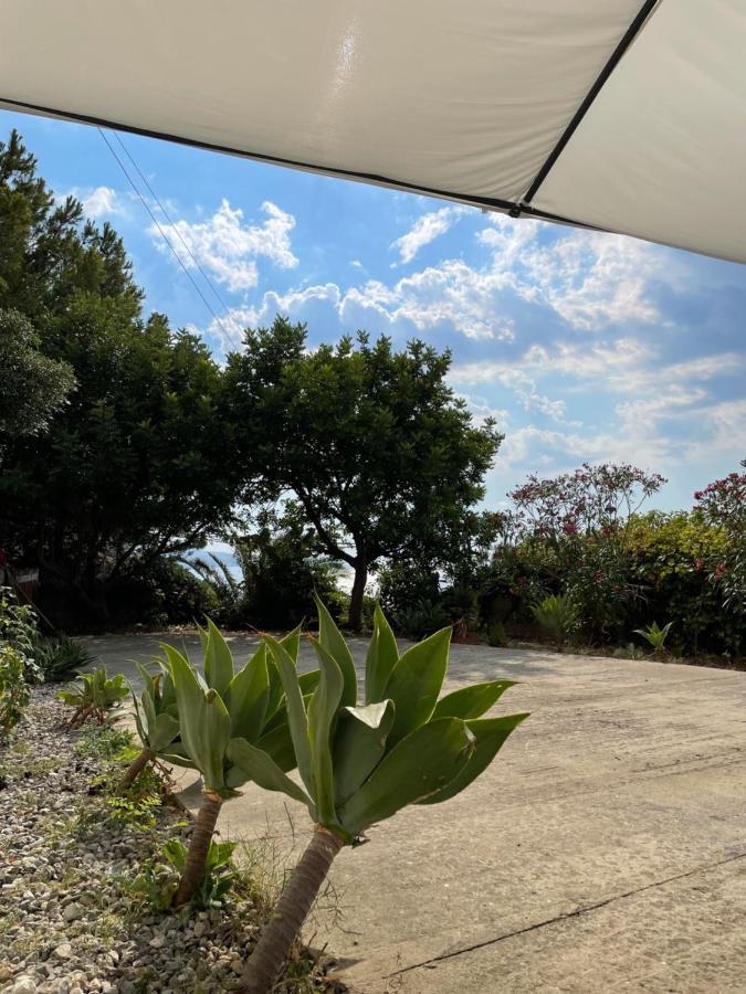 Casa Vacanze Piedigrotta Villa Pizzo  Exterior photo